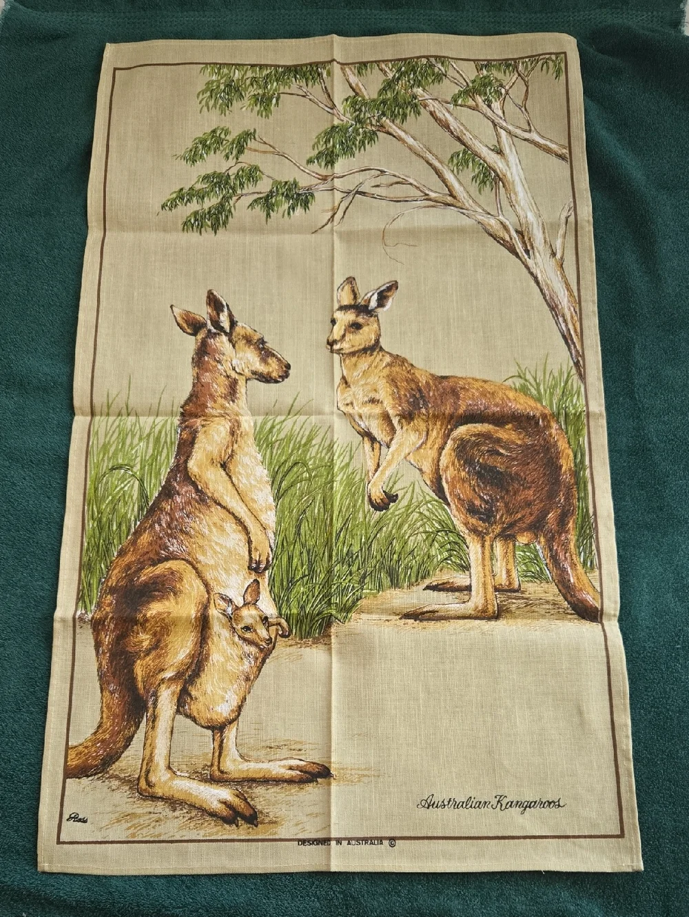 Australian Kangaroos Scenic Tea Towel - Brown & Green, Suitable For Framing
